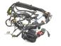 Preview: Aprilia Tuono V4 1100 Factory Hauptkabelbaum Kabelbaum Kabelstrang Wire Harness  original