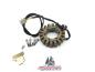 Preview: HONDA XL600V Lichtmaschine Lima Stator orginal