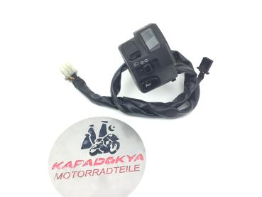 Yamaha FJR 1300 ABS RP11 Lenkerschalter links Schalter Switch 04-05