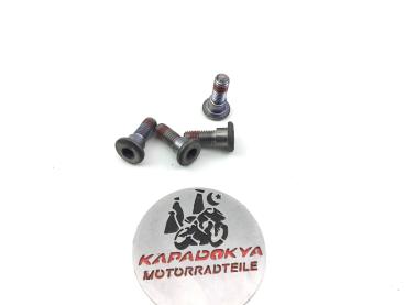 Honda CB900 F Bremsscheiben Bremsscheibe Schrauben Brake