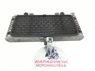 Suzuki GSXR 1300 R Hayabusa Bj.99-07 ÖL Ölkühler Radiator Kühler 90114