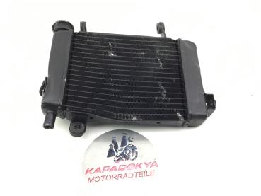 Honda CBR125R JC34 Kühler Wasserkühler 04-06