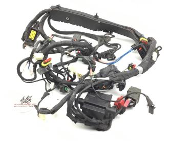 Aprilia Tuono V4 1100 Factory Hauptkabelbaum Kabelbaum Kabelstrang Wire Harness  original