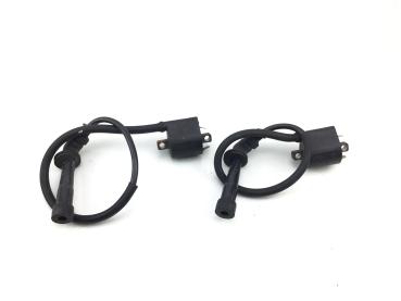 SUZUKI SV650S SV650 Zündspule Zylinder hinten ignition coil