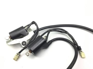 Honda VTR 1000F SC36 Zündspule Zündkerzenstecker 97-06