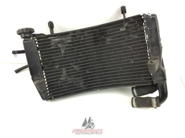 Ducati 749 999 S R Radiator Ventilator Wasserkühler Kühler Lüfter