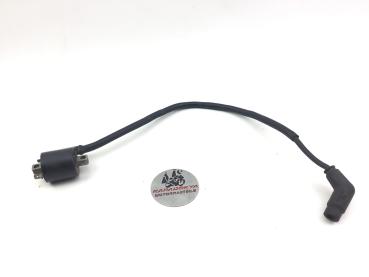 Aprilia RXV SXV 450 550 Zündspule Zündkerzenstecker original