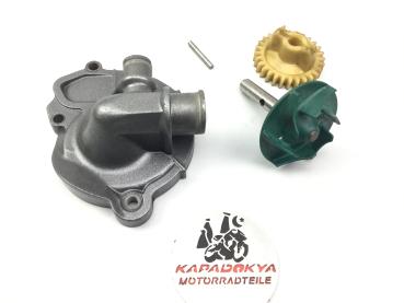 Aprilia RSV1000 RR Mille Tuono RP Motor Wasserpumpe Water Pump 04-08