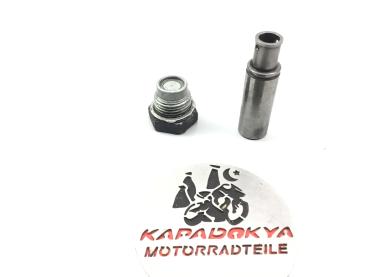  BMW F 650 GS Dakar Steuerkettenspanner,Kettenspanner original