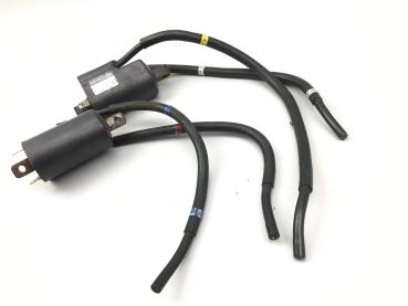 Yamaha FZ6 Fazer RJ07 Zündspule Zündkerzenstecker  04-06