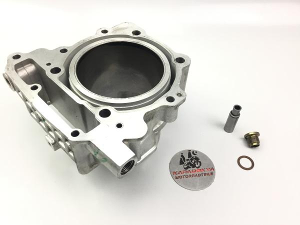 Aprilia RSV1000 RR Mille Tuono RP Zylinder Cylinder Rotax 6613410 98-03