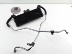 Honda CBR 1100 XX SC35  Ölkühler Kühler Radiator oil cooler mit Ölleitung